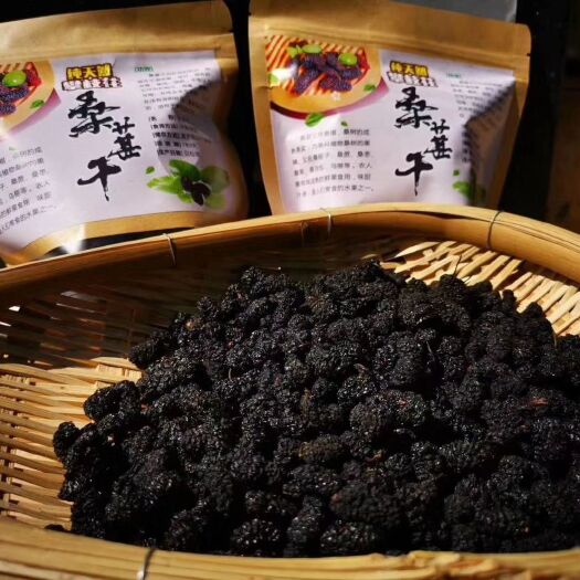 盐边县 这是正宗攀枝花黑桑葚