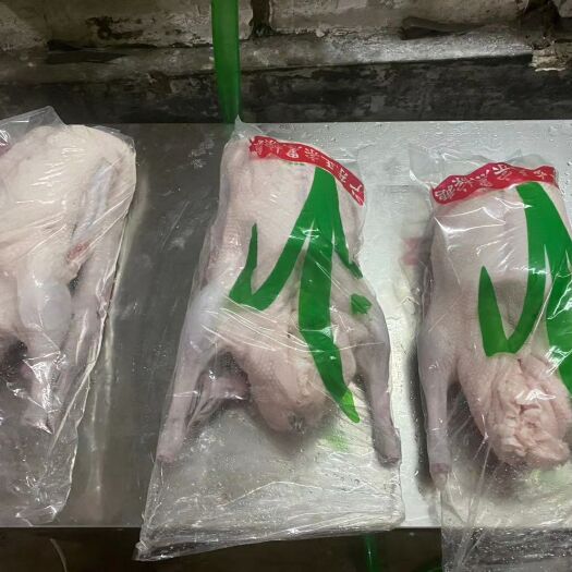 佛山 黑棕鹅，鹅肉，广东黑棕鹅