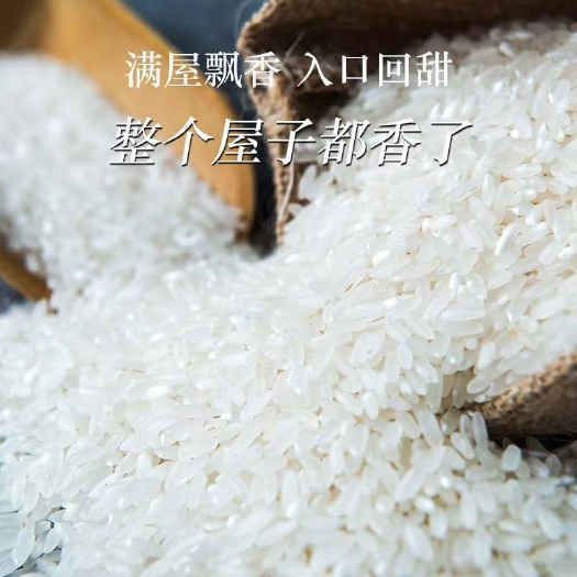 正宗五常大米,价格超低五常产地直发