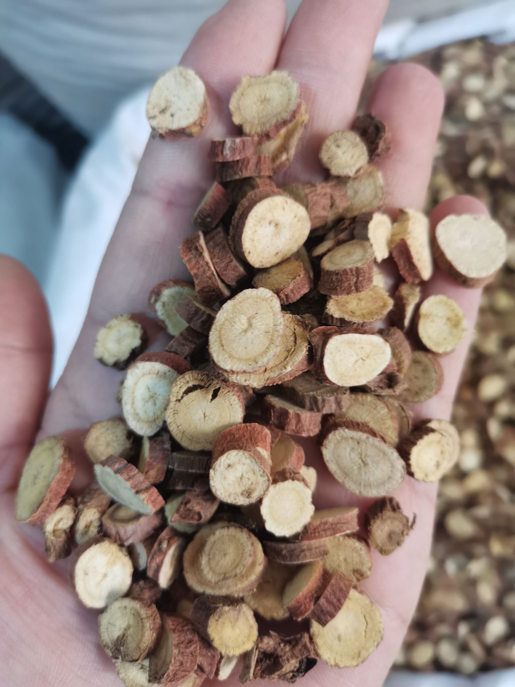 光果甘草  甘肃 甘草大片干净无杂 泡茶 包邮