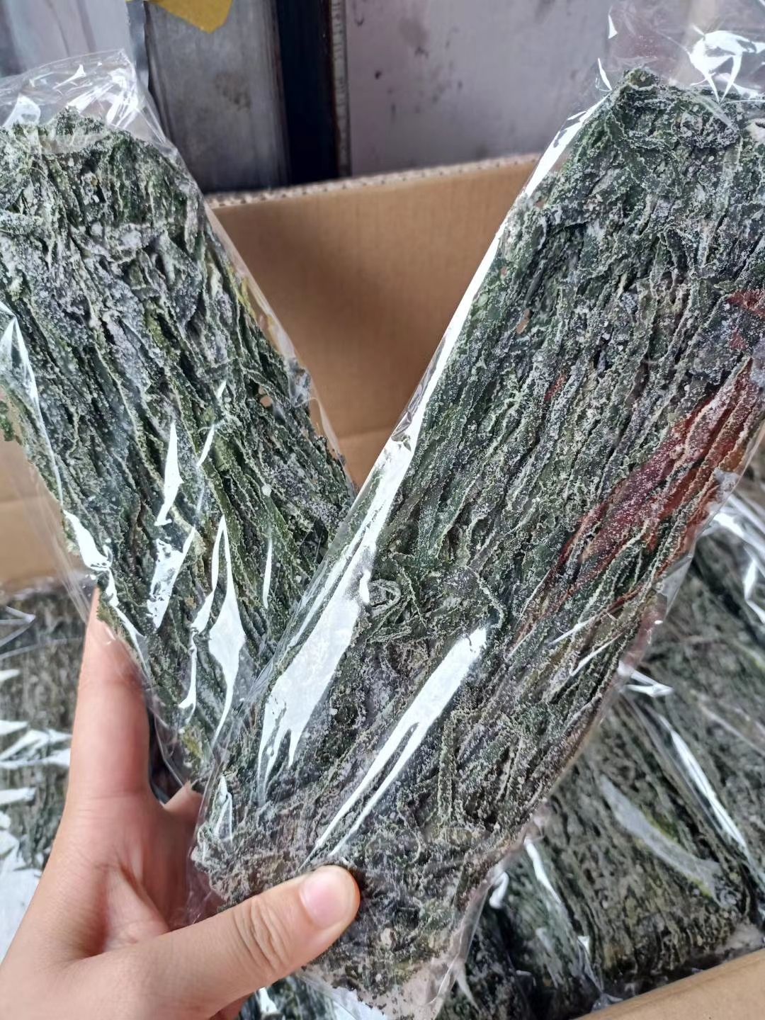  特级海带丝跑江湖地摊暴利产品一手货源