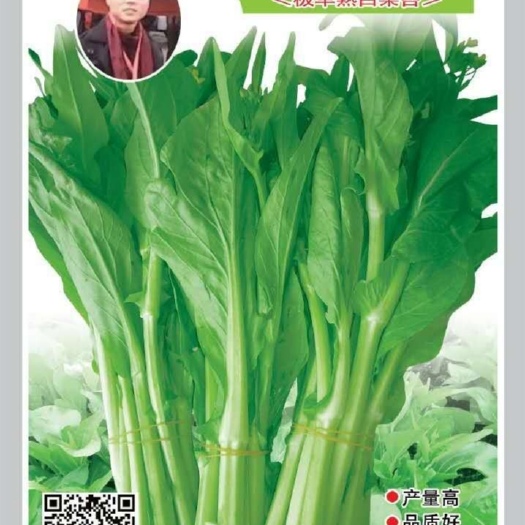 长沙县 白菜苔种子