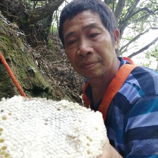 连南县 野蜂蜜，好蜂蜜看得见
