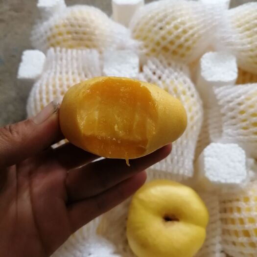 蒙阴县 沂蒙山『风味皇后』油蟠桃上市了