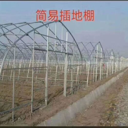天津厂家量尺定制各种种植大棚养殖大棚，简易插地棚，温室连栋！