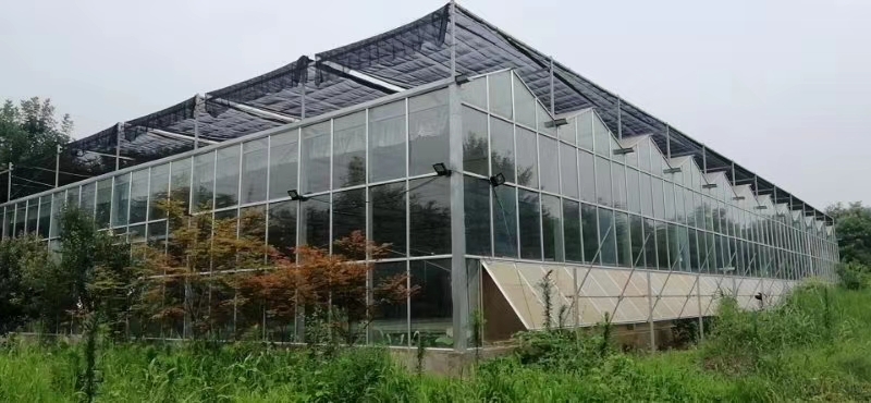 郑州文洛式温室大棚 二手玻璃温室大棚，1000平，高4米，高配置，九成新