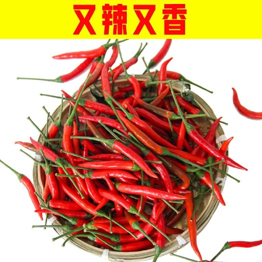 砚山县 云南新鲜朝天椒指天椒椒中玉