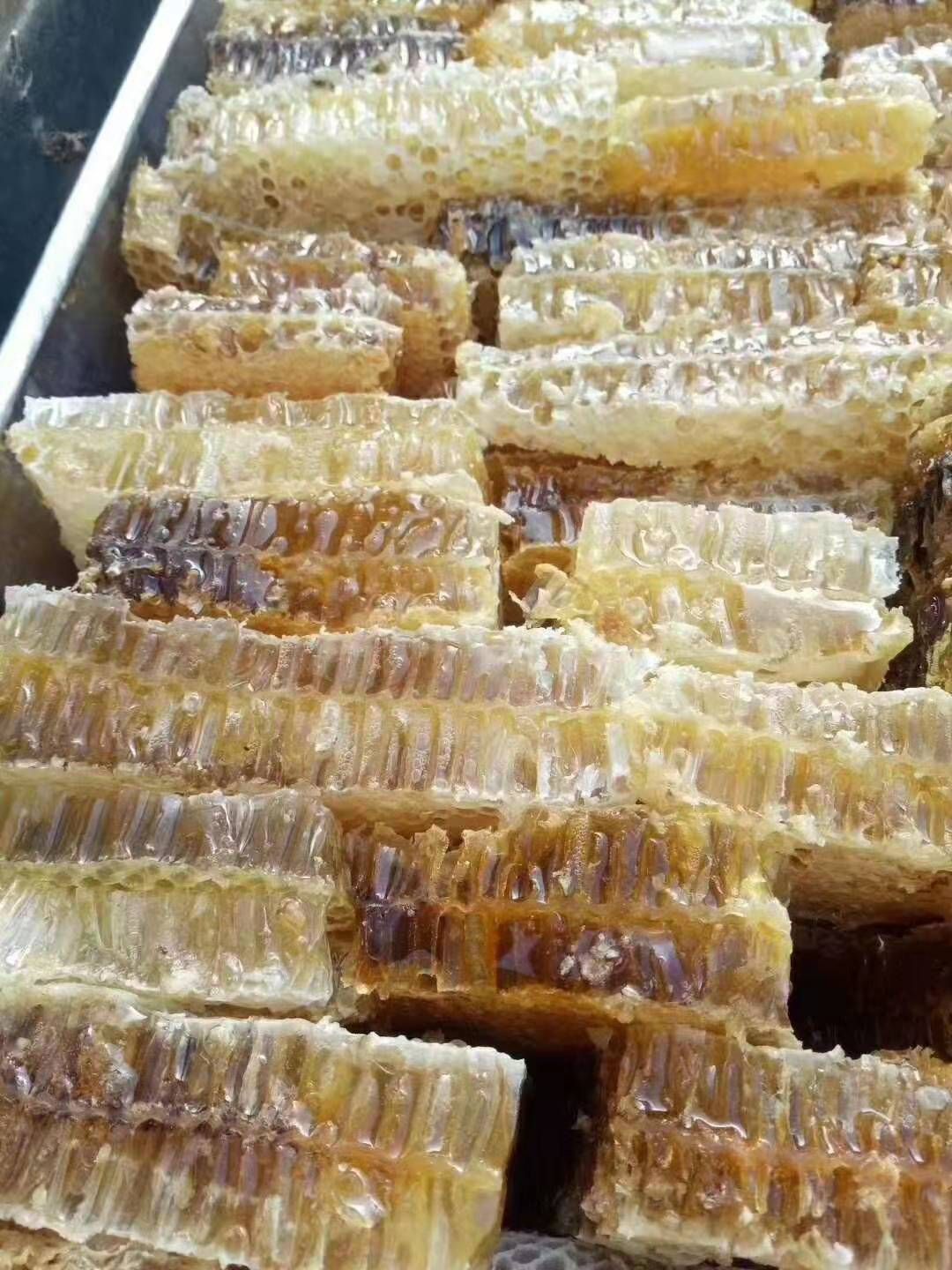 蜂巢蜜巢蜂蜜百花蜜槐花蜜产地一手货源地摊摆摊展销会产品
