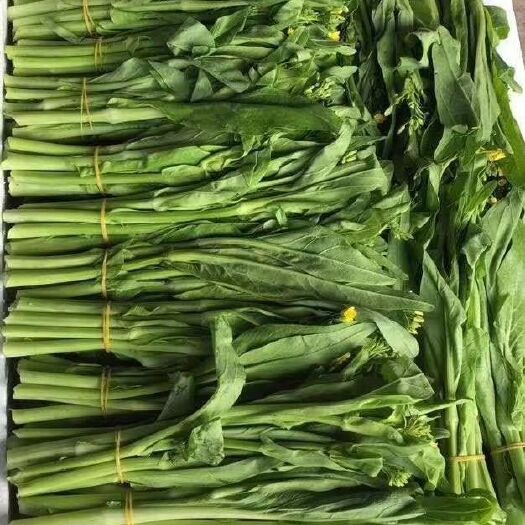  白菜苔