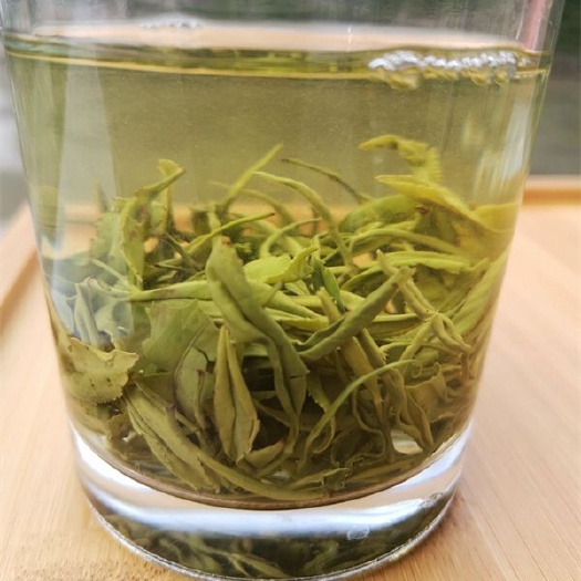 遂川县 狗牯脑茶批发2020夏茶特级批发高山绿茶