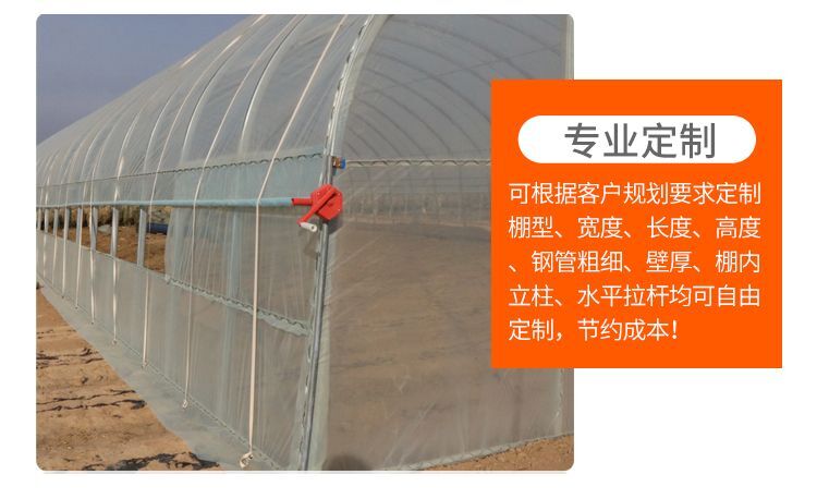东光县养殖大棚 大棚细节