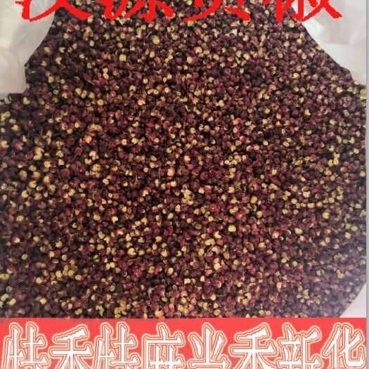 汉源县 汉源花椒，青花椒