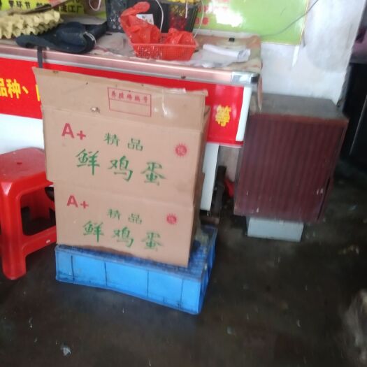 惠东县灵芝鸡蛋 食用 箱装