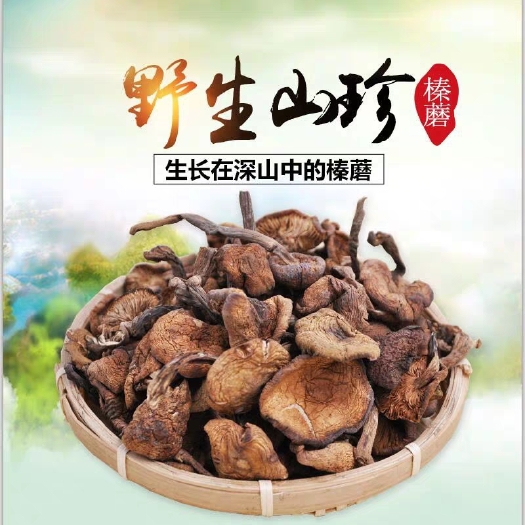 东北特产榛蘑 小鸡炖蘑菇蘑菇丁高品质干货食用菌
