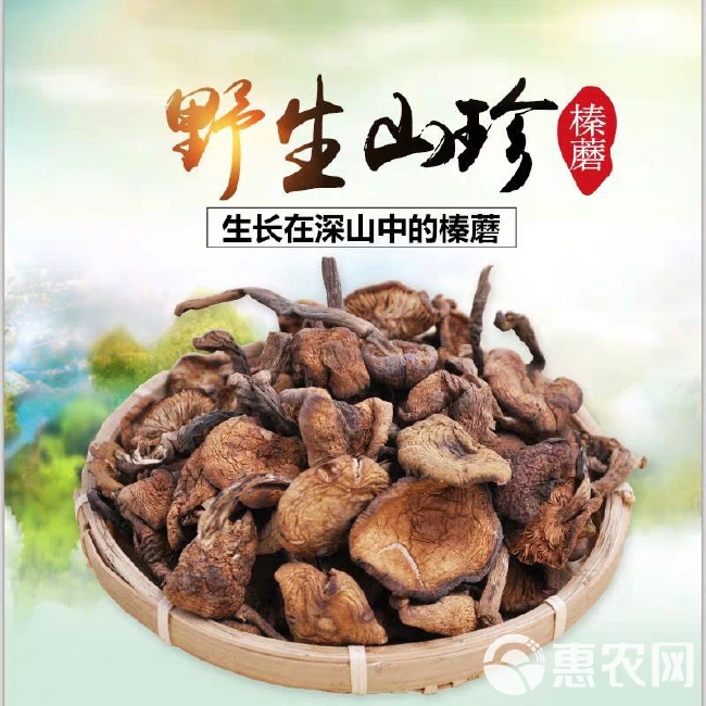 东北特产榛蘑 小鸡炖蘑菇蘑菇丁特级干货食用菌
