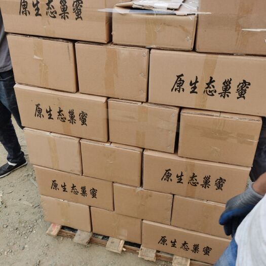 青龙县好蜂蜜 蜂巢蜜