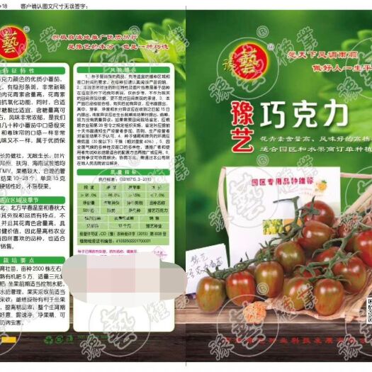 扶沟县巧克力西红柿种子  巧克力小番茄种子~果棕红色抗病含糖10度