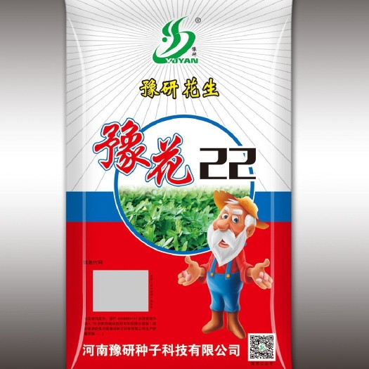 郑州豫花22号 油食两用中果花生