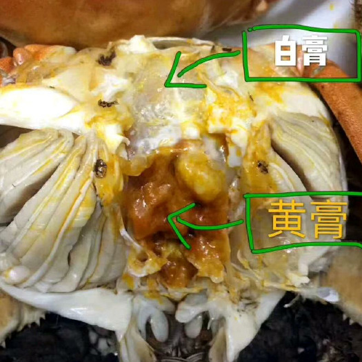 广州 太湖大闸蟹出口品质，洒店，礼盒