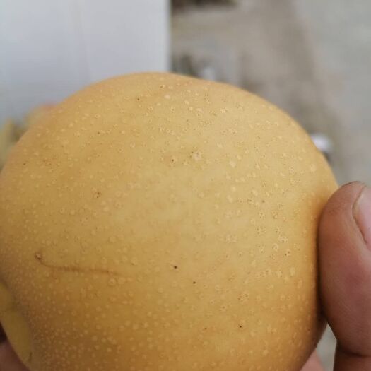 眉山 梨