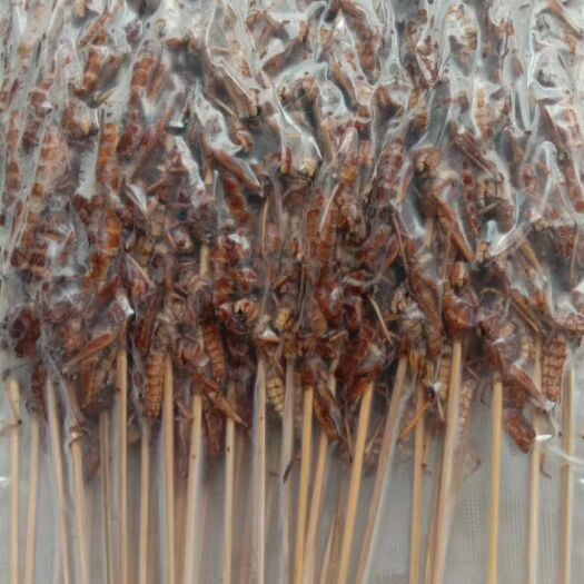 乐陵市东亚飞蝗 烧烤即食蚂蚱串，活体去翅加工，密料腌制入味9成熟，每包40串