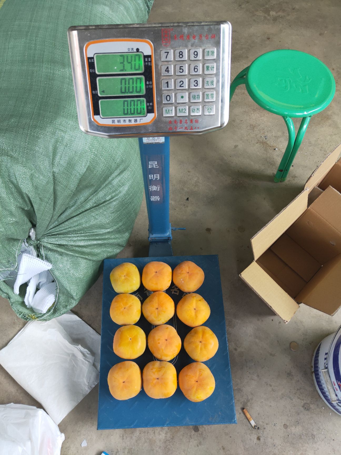  云南省保山市隆阳区蒲缥镇谢家寨甜脆柿