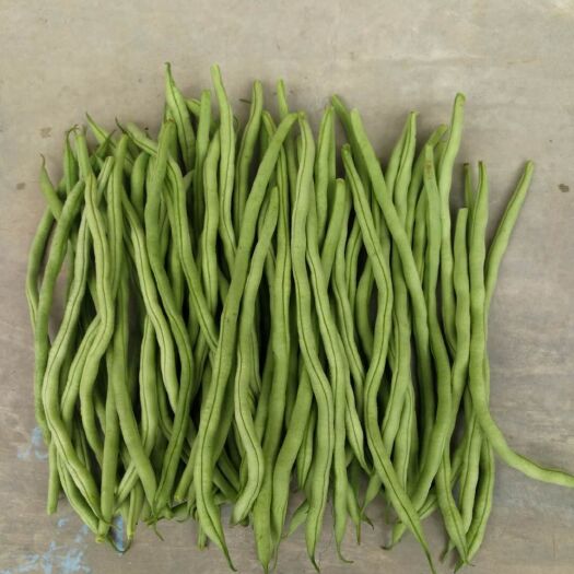 徽县架豆王豆角 架豆王
