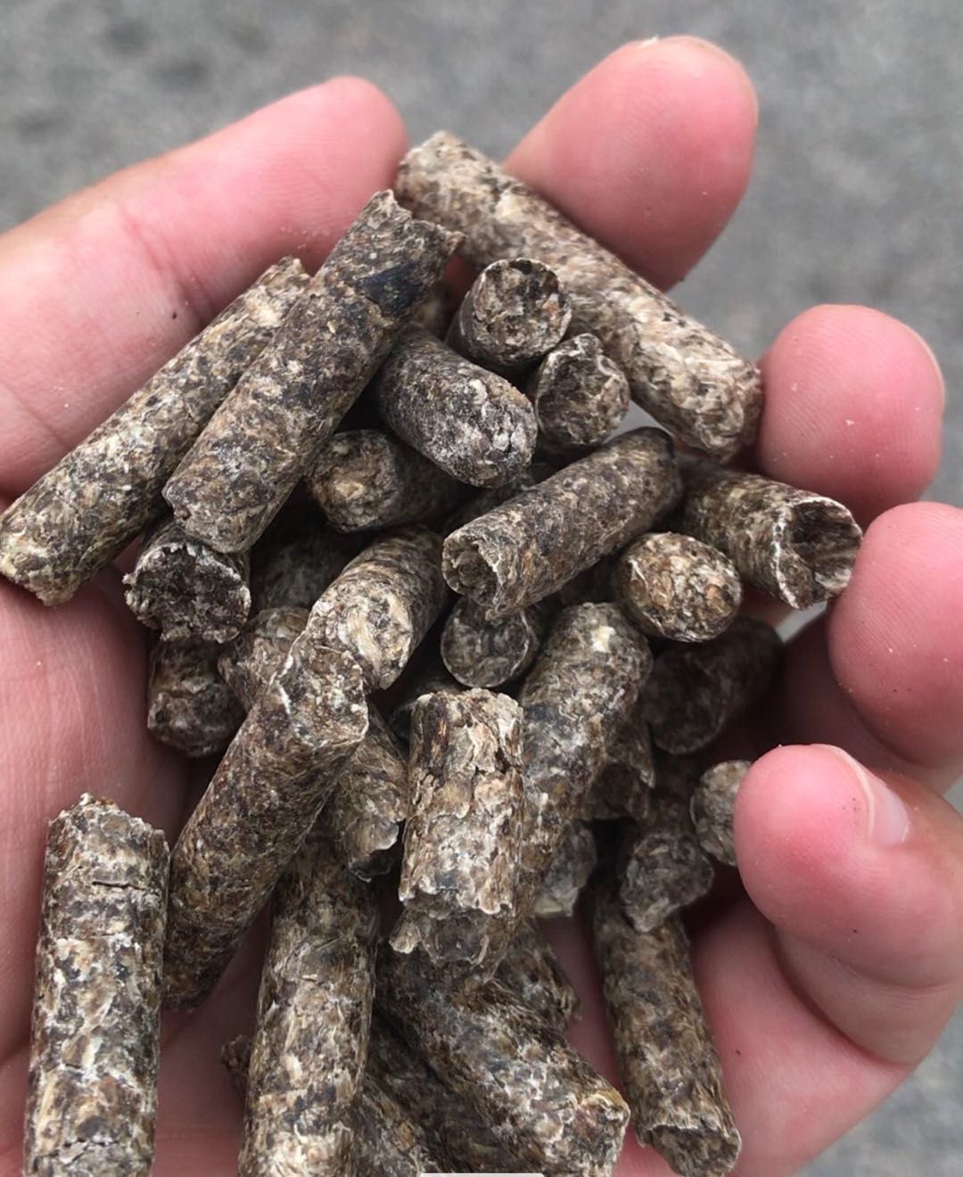 乌克兰甜菜粕食用菌种植培养基牛羊饲料