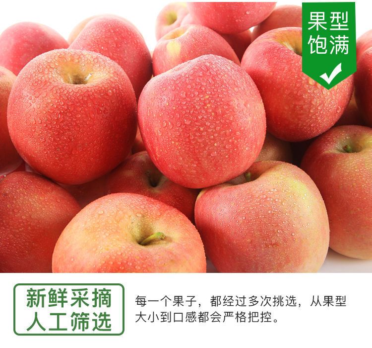 红富士苹果  【脆甜红富士】山西冰糖心苹果高原苹果新鲜水果带