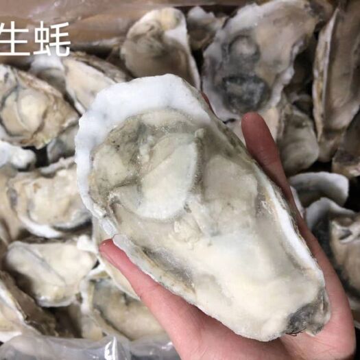 南充生蚝 冰鲜生蚝烧烤