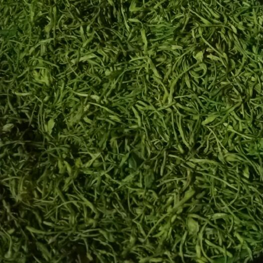 奉节山银花 自产自销