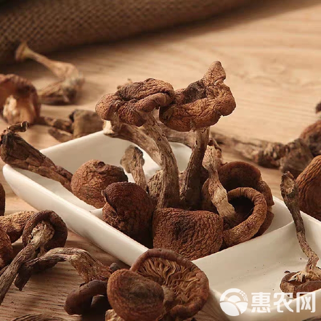 东北特产榛蘑 小鸡炖蘑菇蘑菇丁特级干货食用菌