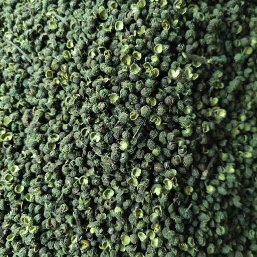 郑州江津花椒 特级 干花椒