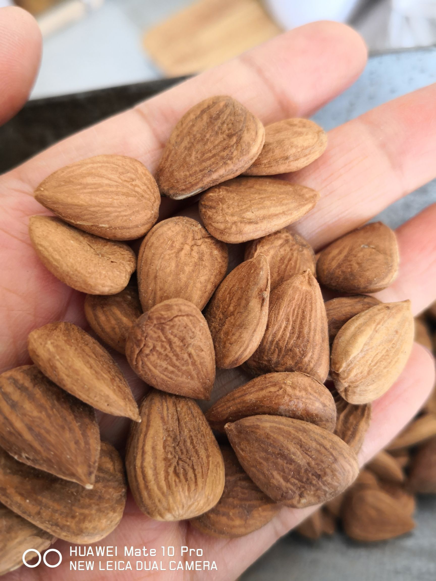 甜杏仁 食用 选货籽粒饱满 量大从优