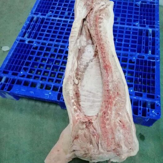 西安整头猪  肥猪白条