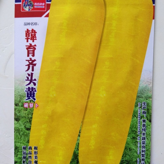 沭阳县黄胡萝卜种子 齐头黄胡萝卜  黄胡萝卜