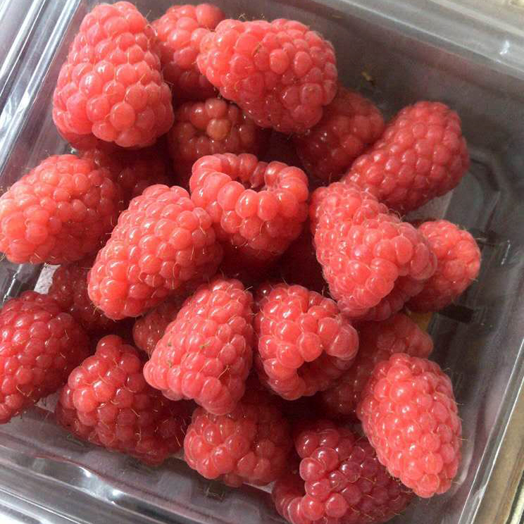 郑州批发零售树莓新鲜水果覆盆子鲜果现摘现发高铁发货损耗包赔付