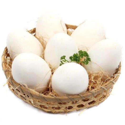 灌阳县土鹅蛋 孵化 箱装