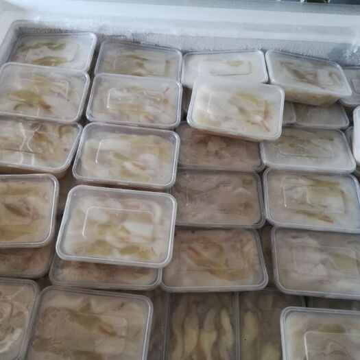 南澳县鱿鱼母 绿色食品