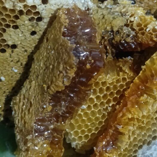 上林县 农家土蜂蜜