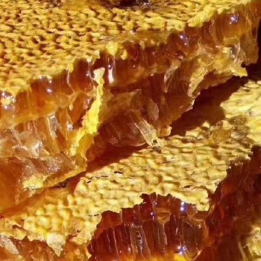 温州 都是自己养的土蜂蜜