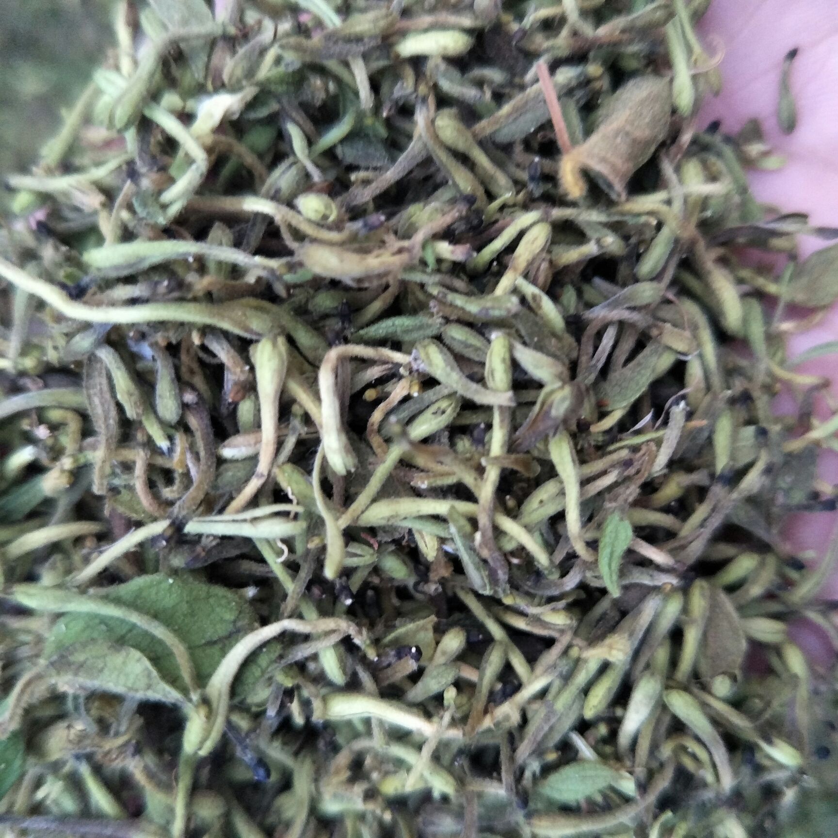 山银花 统一太阳晒干可选货可统货 5斤起发货