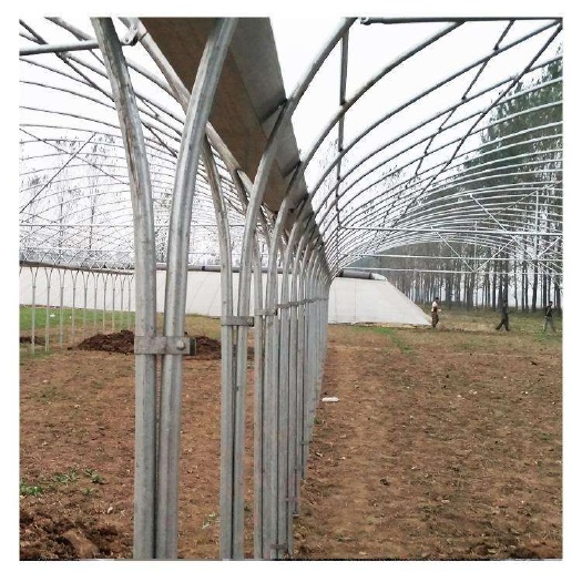 天津镀锌带种植大棚 镀锌带圆管  椭圆管