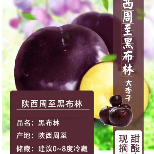周至县 秦岭山下黑布林，现摘现发，零售批发