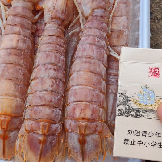 北海网红皮皮虾满肉