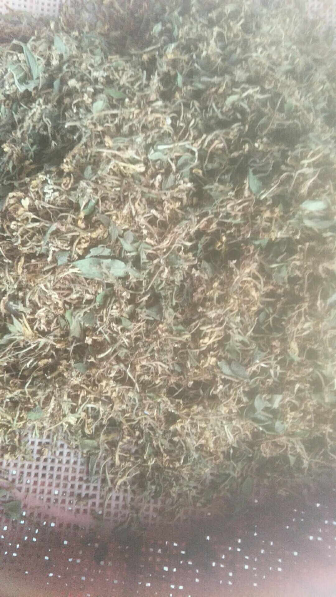 山银花 统一太阳晒干可选货可统货 5斤起发货