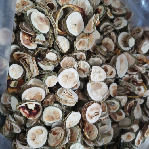 山苦瓜茶