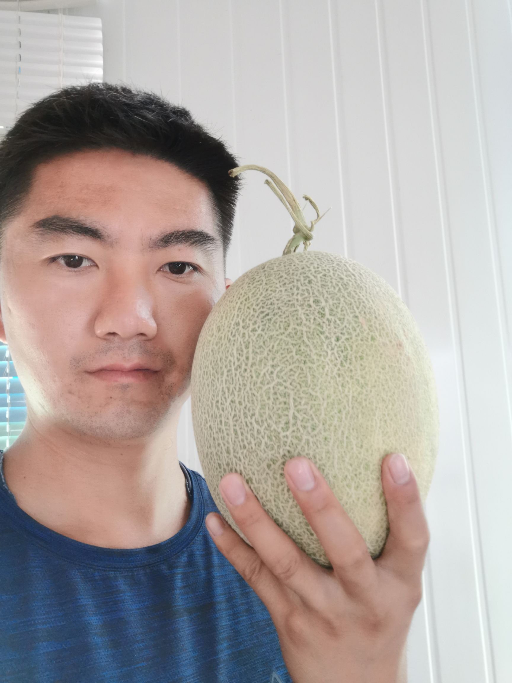  新疆哈密瓜，西瓜，自己家种植2400亩