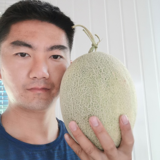 乌鲁木齐 新疆哈密瓜，西瓜，自己家种植2400亩
