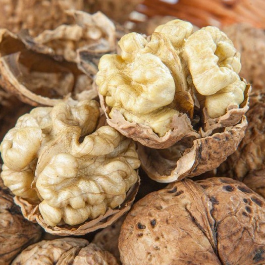 深圳 云南纸皮核桃干果零食坚果薄皮核桃新货核桃孕妇儿童坚果零食批发